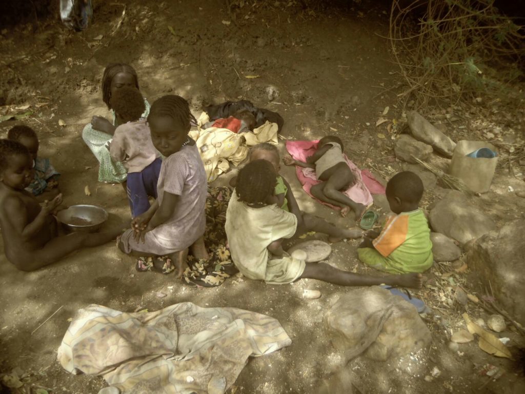 لاجئو جبال النوبة يعانون من انعدام الغذاء بمعسكر مييري بدولة الكنغو