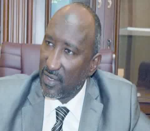 الي السيد والي شمال دارفور (حكومتان وطابور خامس تدير شؤون الولاية ) – محلية كبكابية نموذجا (1-10)