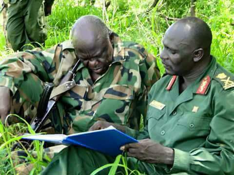 الحركة الشعبية تعلن وقف إطلاق النار لمدة 6 أشهر