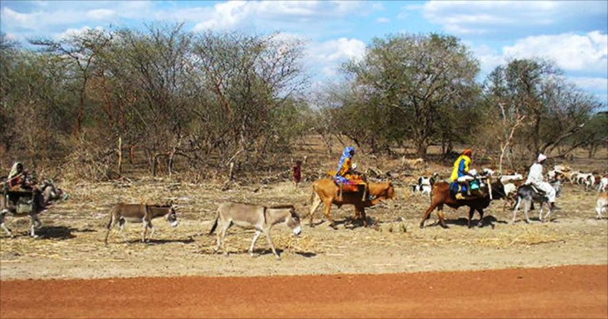 رعاة من المسيرية حول أبيي. صورة ل (الجزيرة)