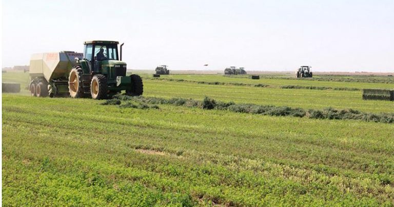 لجان مقاومة مدني تتهم العدل والمساواة بمحاولة السيطرة على مشروع الجزيرة مشروع الجزيرة