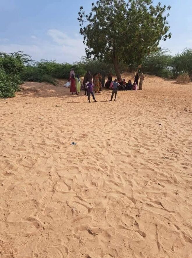 جرائم ونهب في محيط الرهد والأهالي يطالبون بتدخل عسكري عاجل