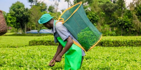 السودان يؤكد تنفيذ قرار حظر الواردات الكينية وينفي مزاعم الاستثناءات