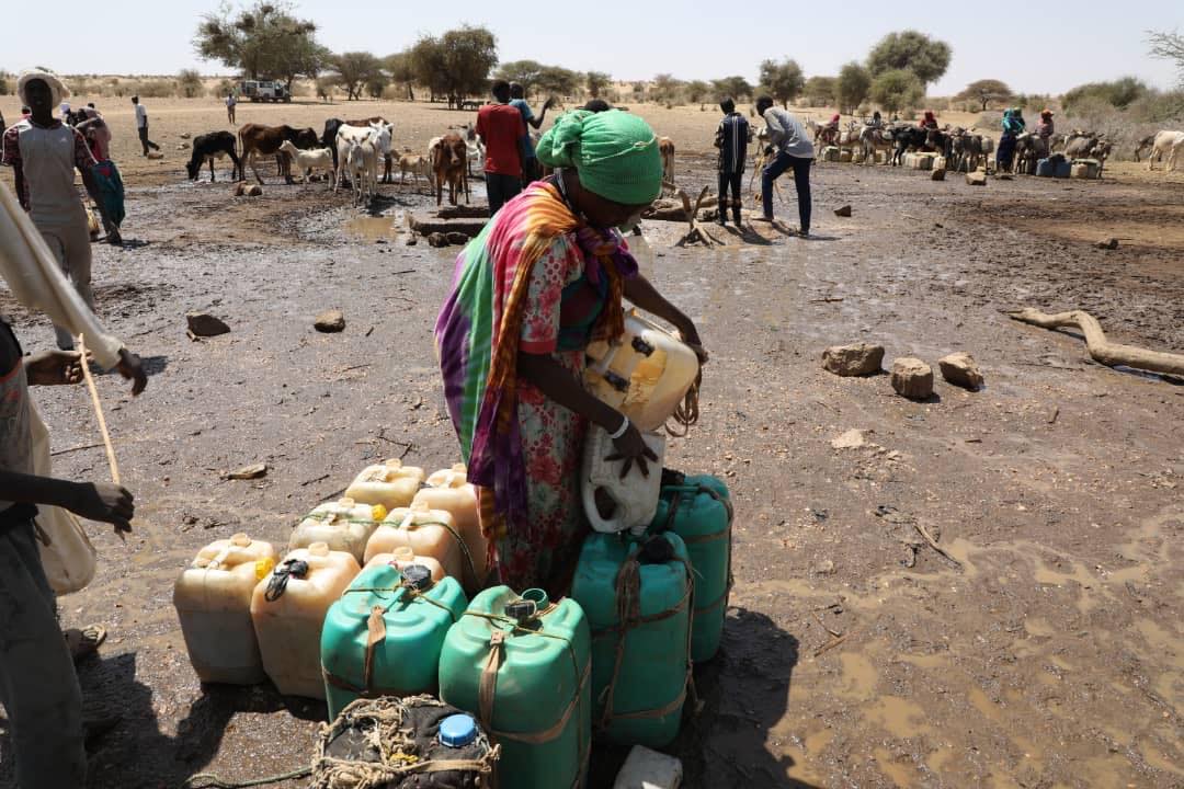 معاناة النساء في الحصول على مياه الشُرب ، صورة ل(صوت الهامش)